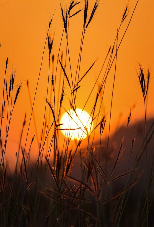 How to Build a Calming Morning Routine for a Peaceful Day